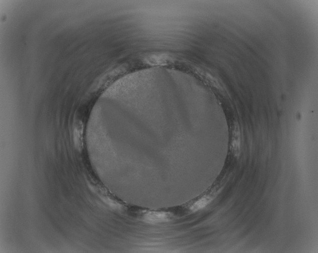 X0000082740332200702091909