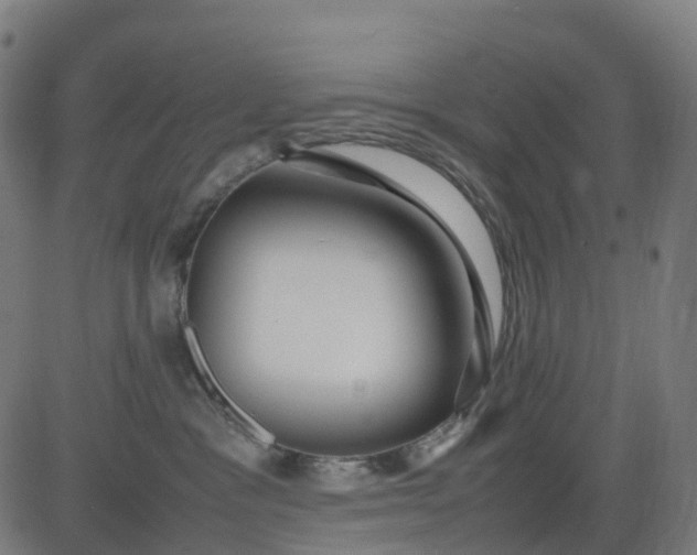 X0000082740333200702091909