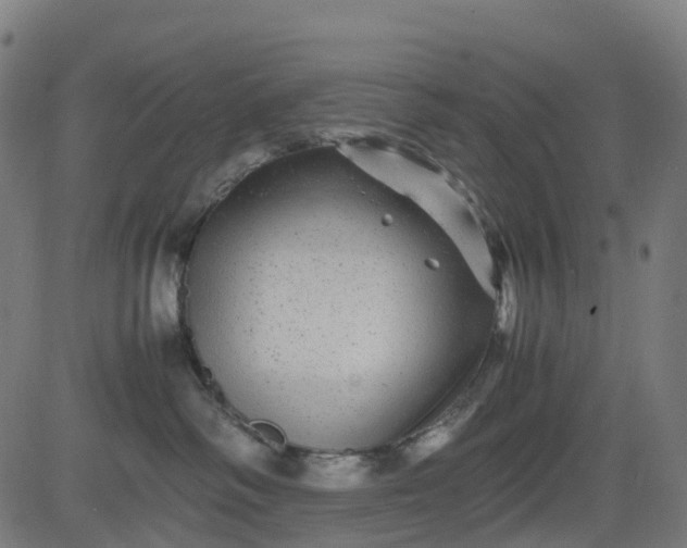 X0000082740334200702091909