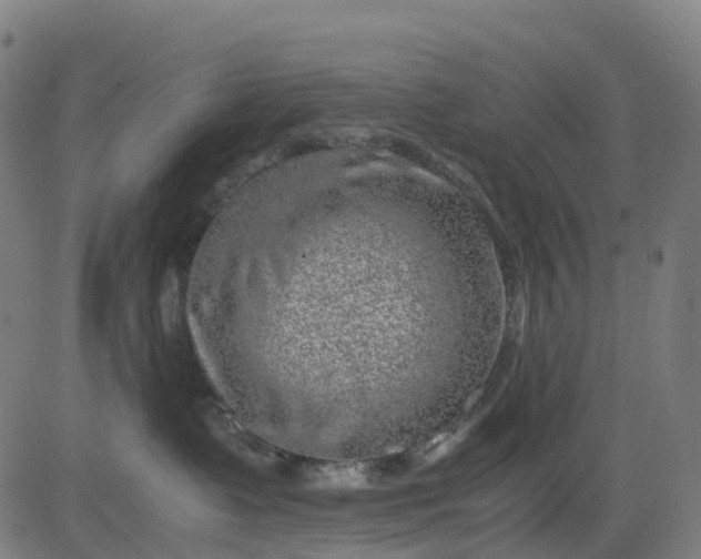 X0000082740335200702091909