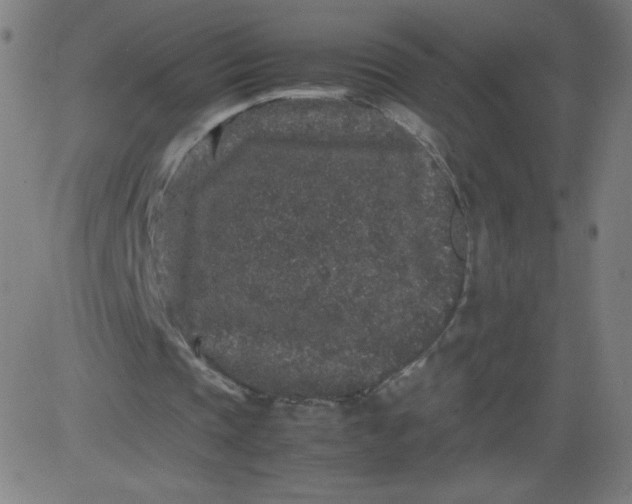 X0000082740337200702091909