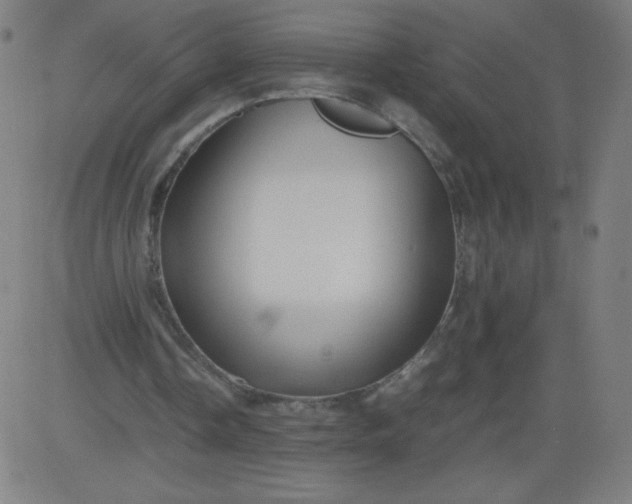 X0000082740338200702091909