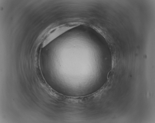 X0000082740339200702091909