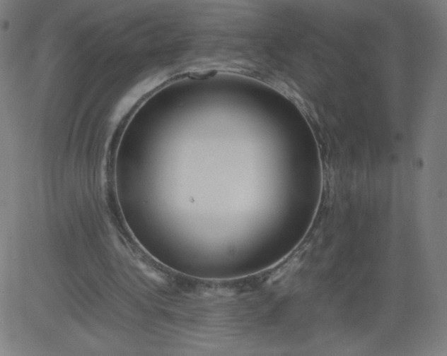 X0000082740340200702091909