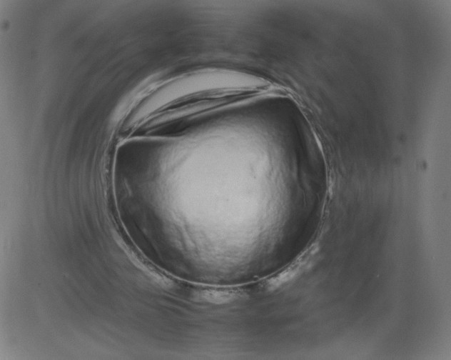 X0000082740341200702091909