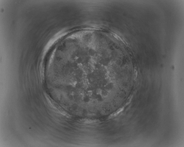 X0000082740343200702091909