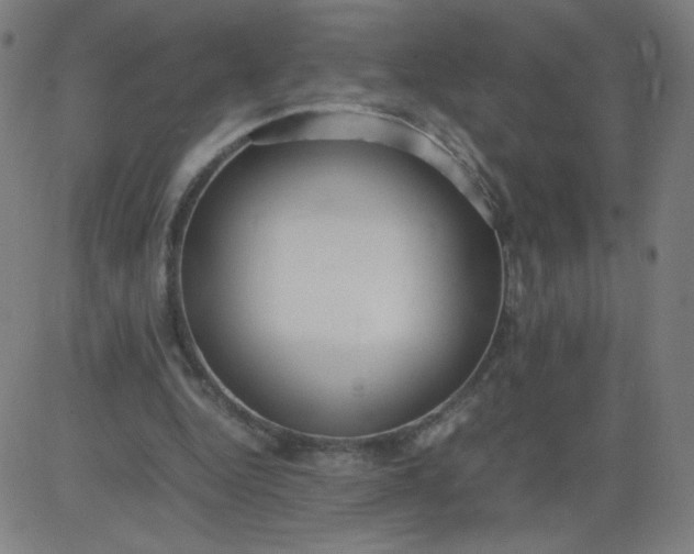 X0000082740344200702091909