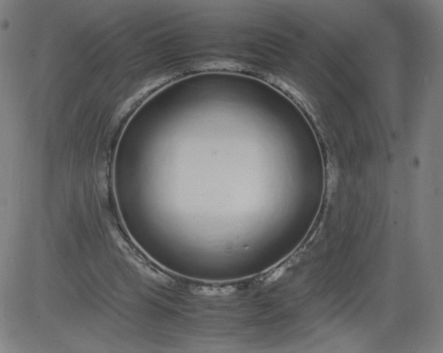 X0000082740345200702091909