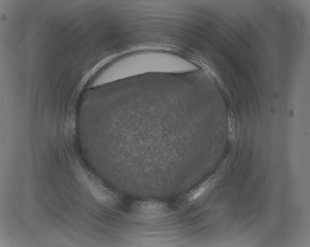 X0000082740348200702091909