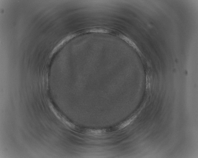 X0000082740349200702091909