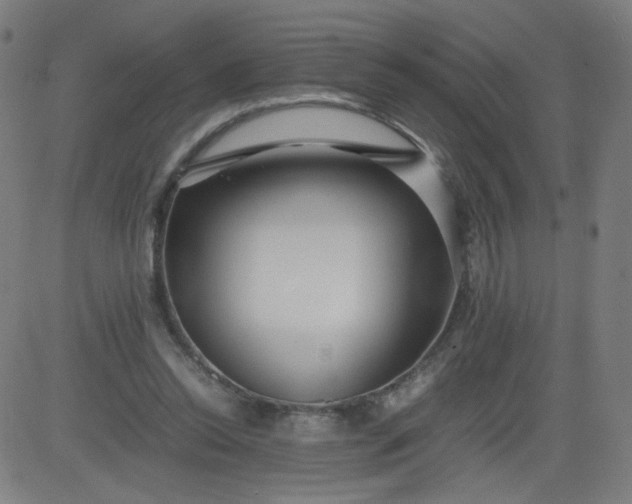 X0000082740350200702091909