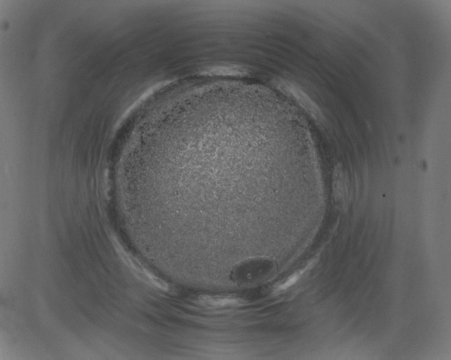 X0000082740351200702091909