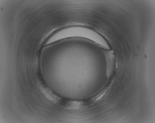 X0000082740352200702091909