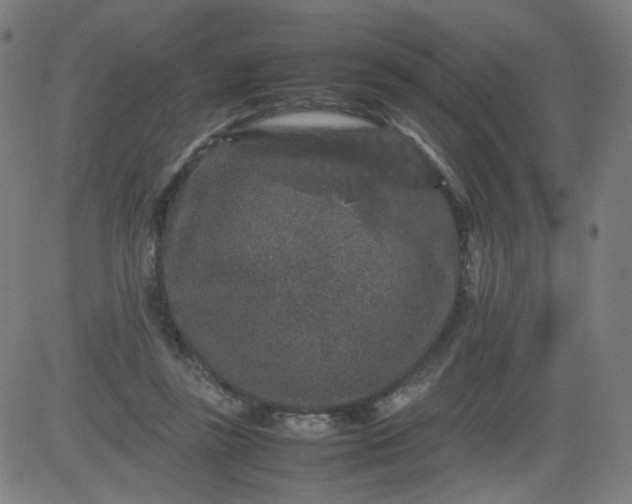 X0000082740355200702091909