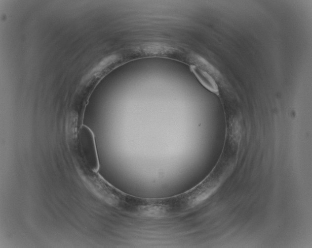 X0000082740356200702091909