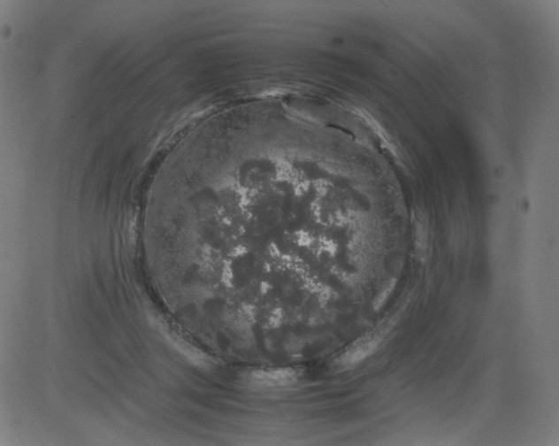 X0000082740357200702091909