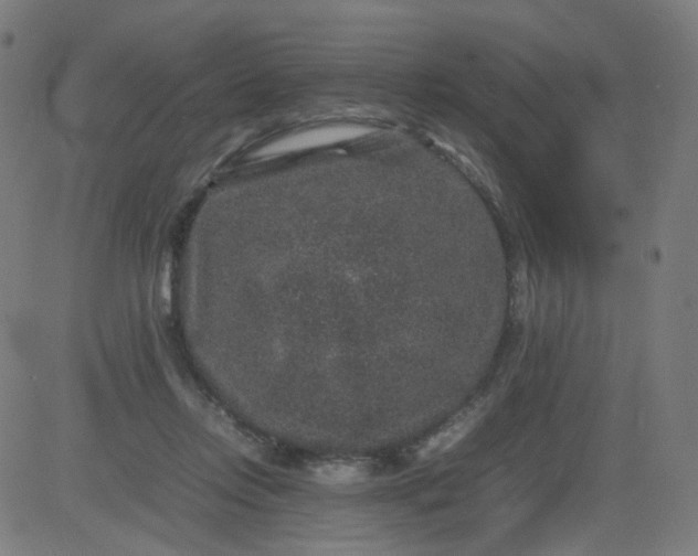 X0000082740358200702091909