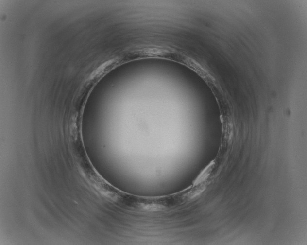 X0000082740360200702091909