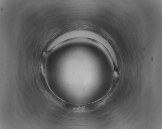 X0000082740362200702091909