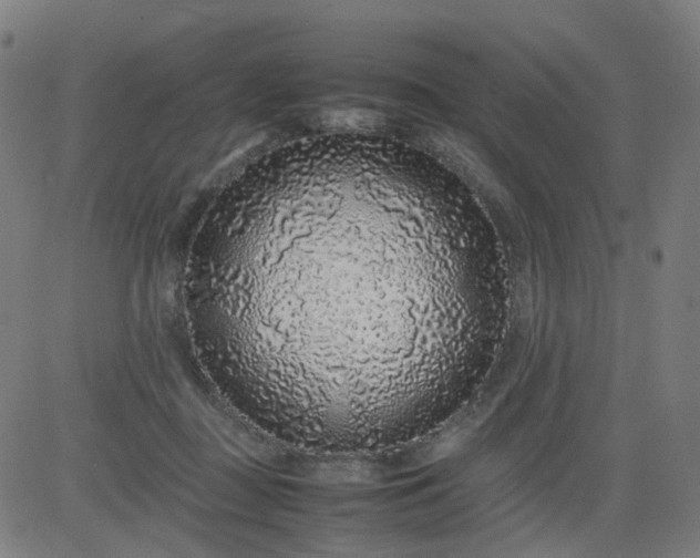 X0000082740363200702091909