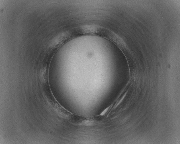 X0000082740364200702091909