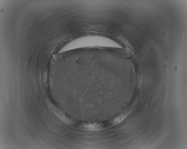 X0000082740365200702091909