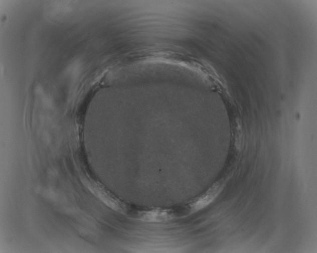 X0000082740366200702091909