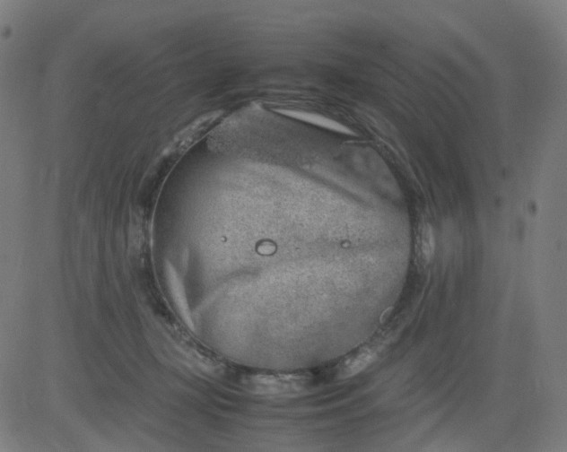 X0000082740367200702091909