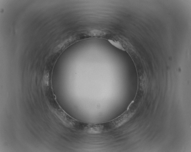 X0000082740368200702091909