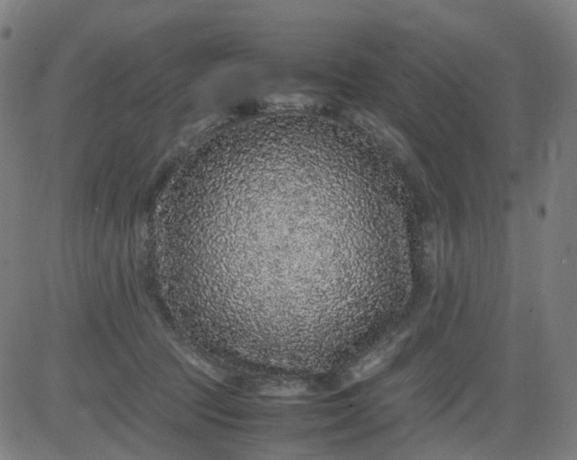 X0000082740369200702091909