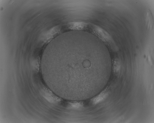 X0000082740370200702091909