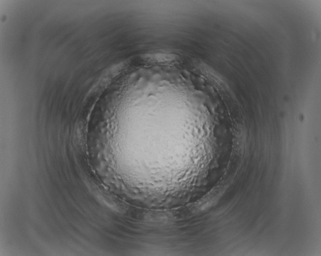 X0000082740373200702091909