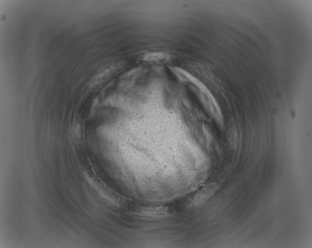 X0000082740375200702091909