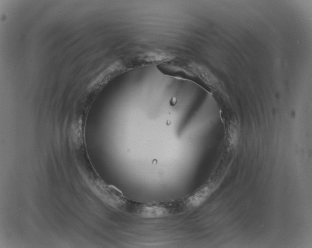 X0000082740376200702091909