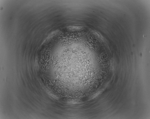 X0000082740377200702091909