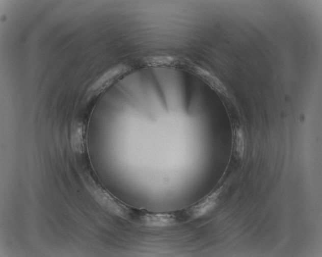 X0000082740378200702091909