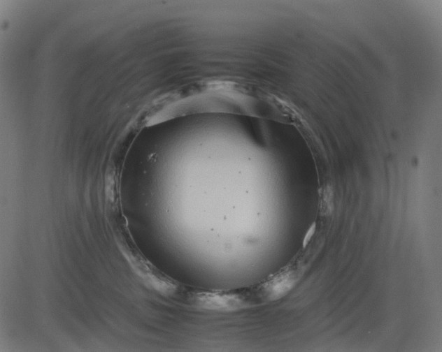 X0000082740379200702091909