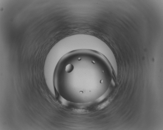 X0000082740380200702091909