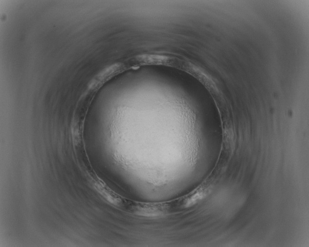 X0000082740381200702091909