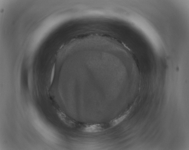 X0000082740382200702091909