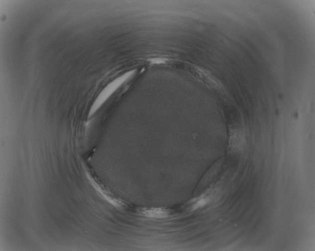 X0000082740383200702091909