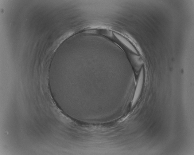 X0000082740385200702091909