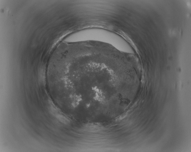 X0000082740386200702091909