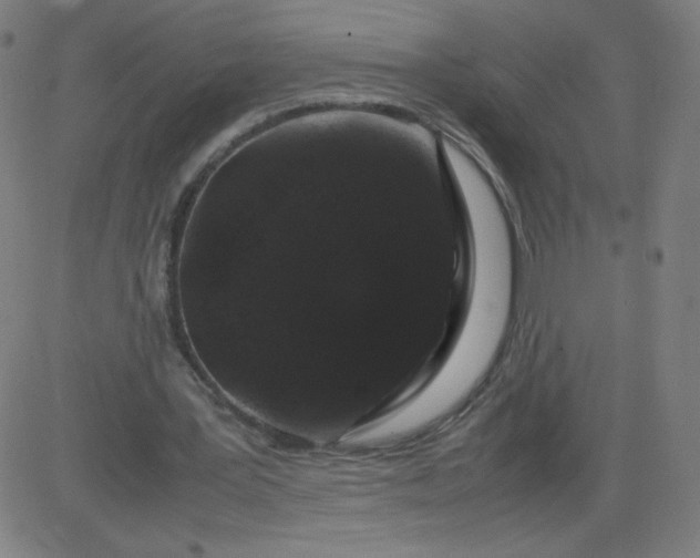 X0000082740387200702091909