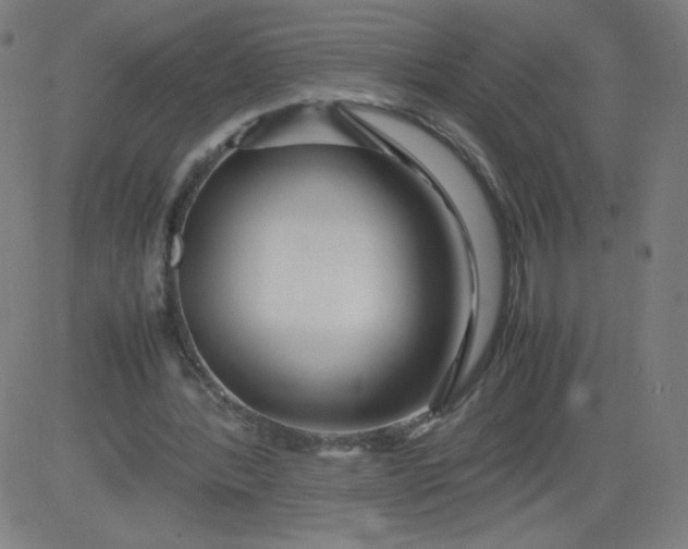 X0000082740388200702091909