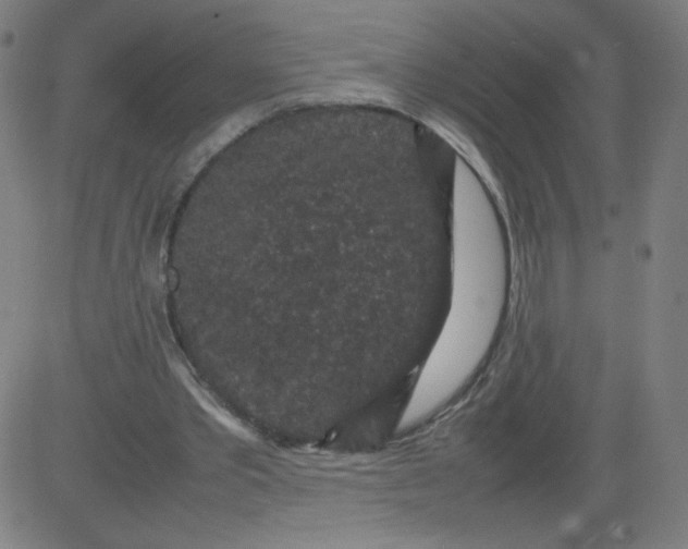 X0000082740389200702091908