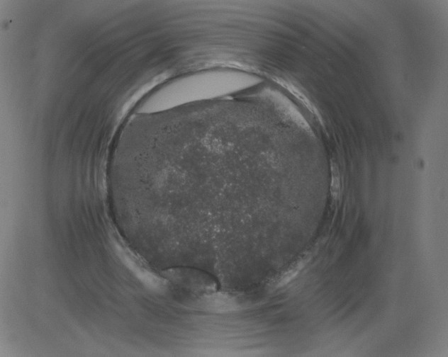 X0000082740390200702091908