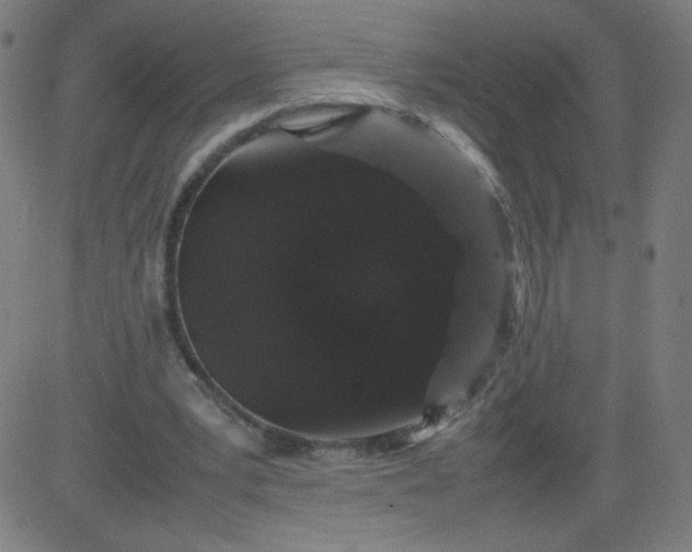 X0000082740391200702091908