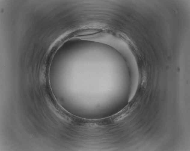 X0000082740392200702091908