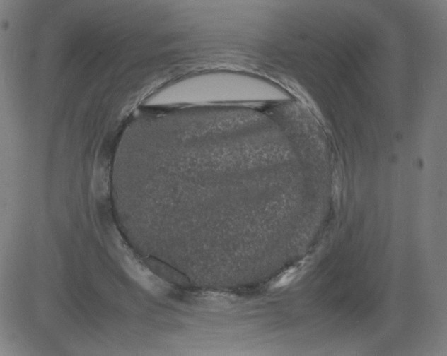 X0000082740393200702091908